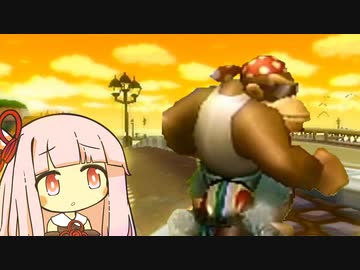 【マリオカートWii】夕陽に照らされて