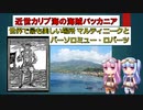 【近世カリブ海】海賊バッカニアとONE PIECE ~ 世界で最も美しい場所 マルティニークとバーソロミュー・ロバーツ ~