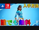 【全機種無料】完全無料の最強スキン「ブリザベル」を誰でも入手する裏技！！この入手方法絶対に使うしかない！！【ウィンターフェスト】【フォートナイト/Fortnite】