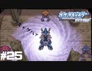 人からもらえるものだけでポケモンダイヤモンドpart25