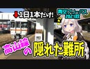 【青空フリーパス2021秋#1鵜沼編】心躍る車窓！1日1本だけの●●列車に乗って高山本線の隠れた難所へ！【迷列車の旅】