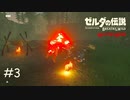ボコブリンとの醜い殴り合い【ゼルダの伝説 ブレスオブザワイルド マスターモード】#3