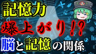 【ゆっくり解説】【記憶力】記憶力爆上がり間違いなし！！