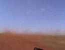ホモと見るCOD