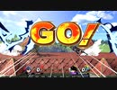 amiibo狂が前のめりamiiboとガチタイマンで遊んでみた。　第8回　ルキナ vs ベヨネッタ(2版)