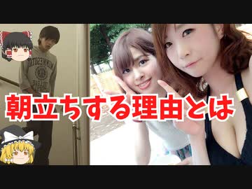 「ゆっくり解説」朝立ちはなぜ起こるか？