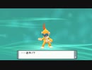 【ポケモンDPリメイク】プレイ動画22【冬コート】