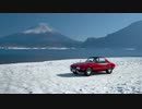 GTS TOYOTA SPORTS 800 Colorado Springs DIRT