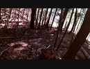 （普通に山歩き回ｗ）変態忍者の、有害鳥獣駆除従事活動記・その１８３