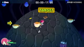 海腹川背Fresh!  チャレンジクエスト／コットン　2021年12月時点