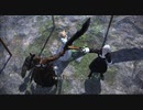 【FF14】ヒカセン始めました Part47【新生エオルゼア編#FINAL】