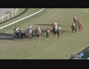 朝日杯3歳ステークス　 ドウデュース