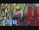 【52日目】お米だけで鶏を育てる