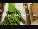 【料理】壊れた主による小松菜炒め物ぉ！