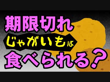 期限切れは大丈夫？結局個人の好みによるのか？