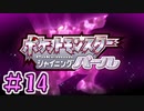【実況】シャザイニングナエトル　目指せ盆栽マスター　part14【ポケットモンスター BDSP】