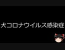 【ゆっくり朗読】ゆっくりさんと不思議な病気 その461