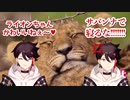 アニマルセラピーで癒されたりキレたりする三枝明那【にじさんじ切り抜き】
