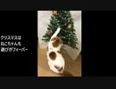 平和なクリスマス