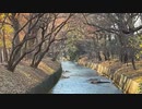 2021年12月19日1枠目　玉川上水の気になる道があるらしい
