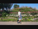 『柴わん』少女レイ踊ってみた！季節はずれ！