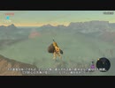 【RTA】ゼルダの伝説BotW マスターソード(Restricted) 1:22:54 Part3