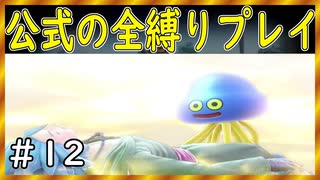 【ドラクエ１１S】カミュと不思議な相棒【公式の全縛り攻略】～＃１２