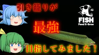 【ゆっくり実況】今回はウツボ！　引き籠りが最強を目指す！【Feed and Grow Fish】