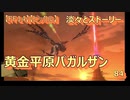 【FF14】【ビックル】淡々とストーリー  黄金平原パガルザン　84