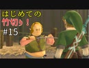 【ゆっくり実況】二度目ゼルダはじめてのスカウォ！！ part15 【ゼルダの伝説スカイウォードソード】