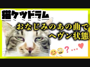 【ネコケツドラム】せがまれたのであのYouTube有名曲叩いてみたCat Life - GT-K（Spanking The Cat）