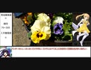 憎き害虫をコロコロするフラワーナイトガール　EX1