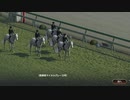 ついなちゃんのふいんきでウイポ9 2021の裏側40