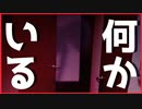 【実況】叔母の家に夜な夜な現れる奇妙な影　　#1