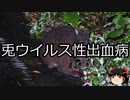 【ゆっくり朗読】ゆっくりさんと不思議な病気 その462