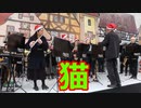 博多ウインドオーケストラの吹奏楽！！DISH//「猫」！！福岡クリスマスマーケット2021！！