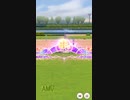 ウマ娘 プリティーダービー　チャンピオンズミーティング　ライブラ杯