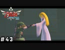 運命を背負ったふたり【ゼルダの伝説スカイウォードソードHD】#43