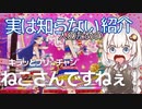 よく見るけど実は知らない人のためのニコニココメント紹介 「ねこさんですねぇ！」
