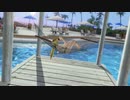【DoaX3】グラビアパラダイスランダム122304