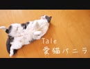 【ゆっくり紹介】Tale 愛猫バニラ【SCP】