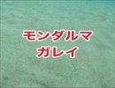 モンダルマガレイ追跡！沖縄ダイビング・慶良間諸島