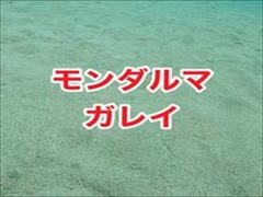 モンダルマガレイ追跡！沖縄ダイビング・慶良間諸島