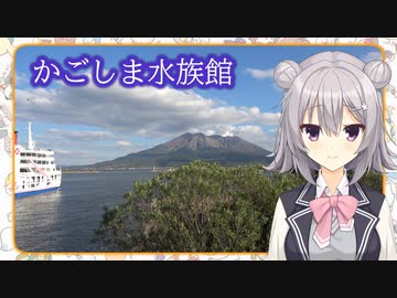 【かごしま水族館】水族館ナビゲーター小春六花