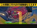 【小技集】超大量経験値がもらえる「チート洞窟」行きましたか？チャプター３最強バグ小技裏技集！【FORTNITE/フォートナイト】