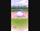 ウマ娘 プリティーダービー　チャンピオンズミーティング　ライブラ杯