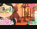 【 あつまれどうぶつの森 】 ♥²島開拓記録123【 Vtuber 】