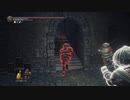［ダクソ3］ナメクジの侵入