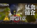 0429R閲覧注意【スズメが食べられる】猛禽類タカ科ツミの捕食と鳴き声。カワセミ。鯉の病気。怪我したカルガモ。スズメとツバメの巣材集め。コンデジ野鳥撮影＠鶴見川水系