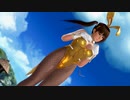 【DoaX3/レイファン】 フォトパラダイス レイファン122504